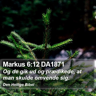Markus 6:12 DA1871 Bible Verse Image