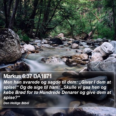 Markus 6:37 DA1871 Bible Verse Image