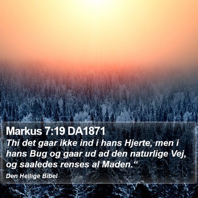 Markus 7:19 DA1871 Bible Verse Image