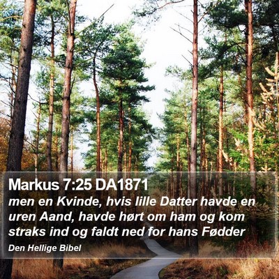 Markus 7:25 DA1871 Bible Verse Image