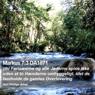 Markus 7:3 DA1871 Bible Verse Image