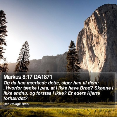 Markus 8:17 DA1871 Bible Verse Image