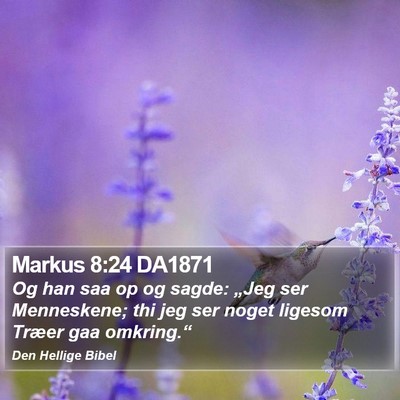 Markus 8:24 DA1871 Bible Verse Image