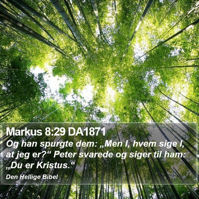 Markus 8:29 DA1871 Bible Verse Image