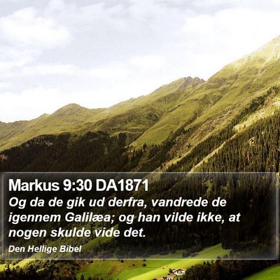 Markus 9:30 DA1871 Bible Verse Image