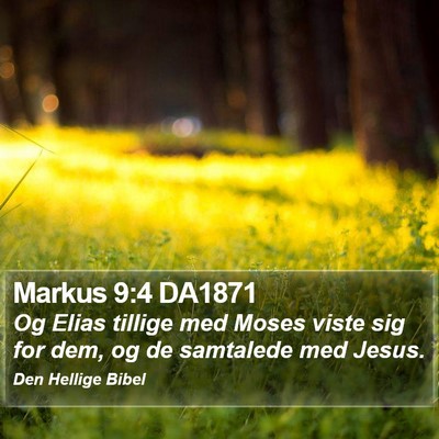 Markus 9:4 DA1871 Bible Verse Image