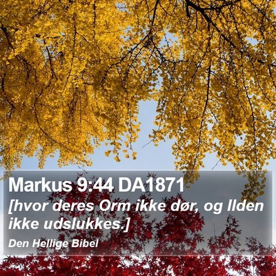 Markus 9:44 DA1871 Bible Verse Image
