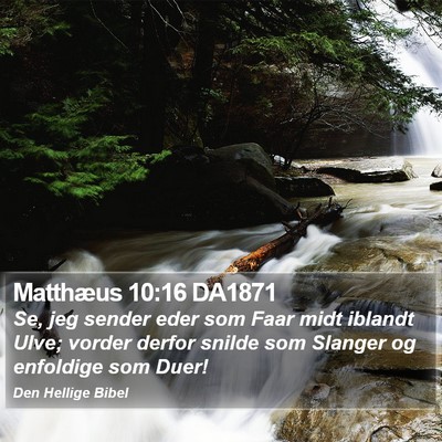 Matthæus 10:16 DA1871 Bible Verse Image