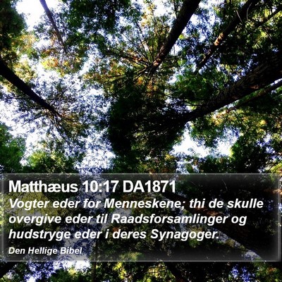 Matthæus 10:17 DA1871 Bible Verse Image