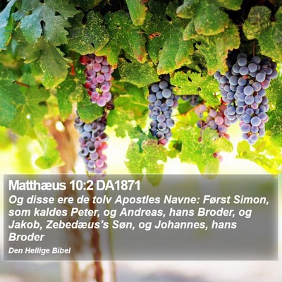 Matthæus 10:2 DA1871 Bible Verse Image