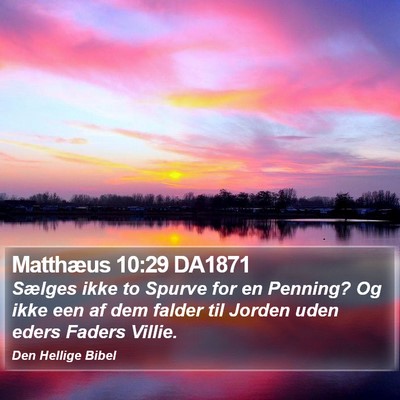 Matthæus 10:29 DA1871 Bible Verse Image
