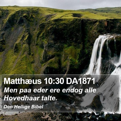Matthæus 10:30 DA1871 Bible Verse Image