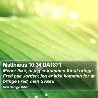 Matthæus 10:34 DA1871 Bible Verse Image