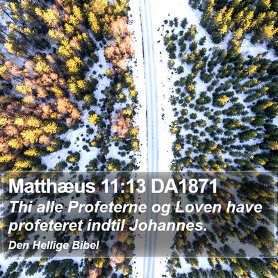 Matthæus 11:13 DA1871 Bible Verse Image