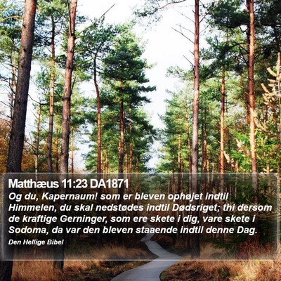 Matthæus 11:23 DA1871 Bible Verse Image