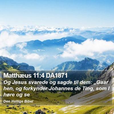 Matthæus 11:4 DA1871 Bible Verse Image