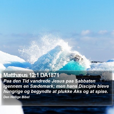 Matthæus 12:1 DA1871 Bible Verse Image