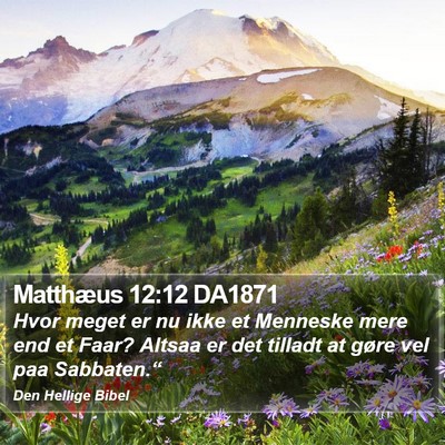 Matthæus 12:12 DA1871 Bible Verse Image