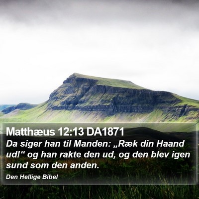 Matthæus 12:13 DA1871 Bible Verse Image
