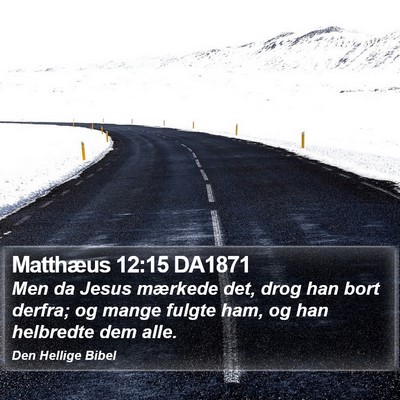 Matthæus 12:15 DA1871 Bible Verse Image