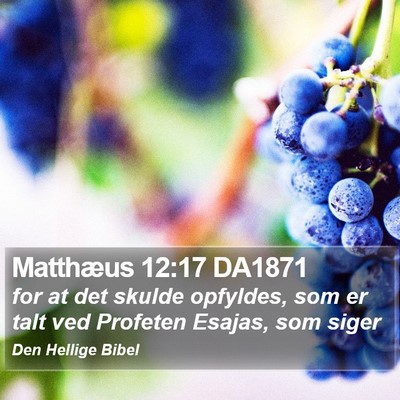 Matthæus 12:17 DA1871 Bible Verse Image