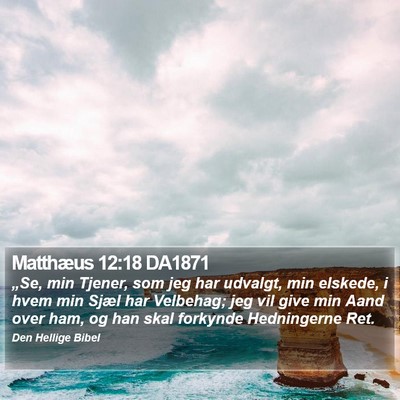 Matthæus 12:18 DA1871 Bible Verse Image