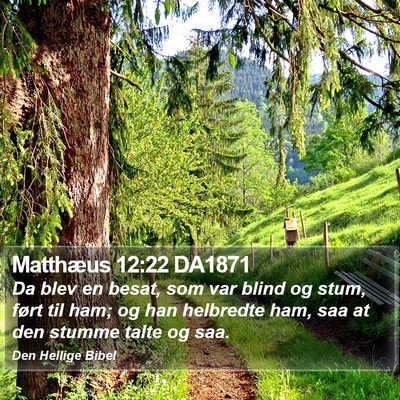 Matthæus 12:22 DA1871 Bible Verse Image