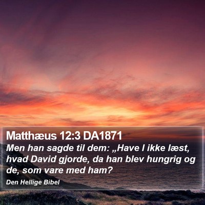 Matthæus 12:3 DA1871 Bible Verse Image