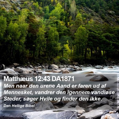 Matthæus 12:43 DA1871 Bible Verse Image