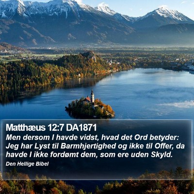 Matthæus 12:7 DA1871 Bible Verse Image