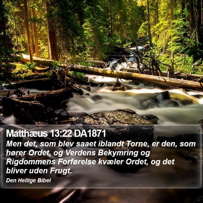 Matthæus 13:22 DA1871 Bible Verse Image