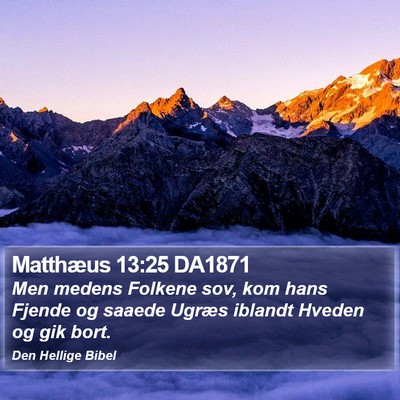 Matthæus 13:25 DA1871 Bible Verse Image