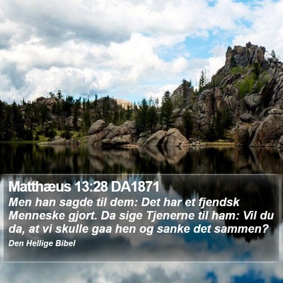 Matthæus 13:28 DA1871 Bible Verse Image