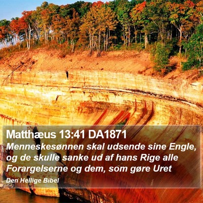 Matthæus 13:41 DA1871 Bible Verse Image