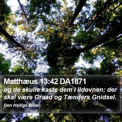 Matthæus 13:42 DA1871 Bible Verse Image