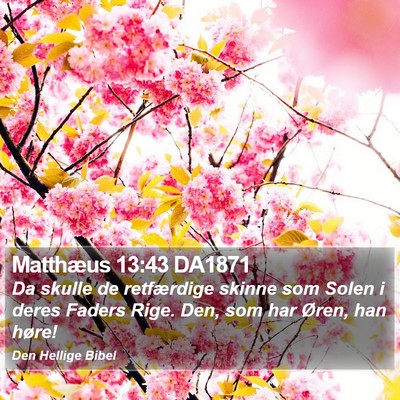 Matthæus 13:43 DA1871 Bible Verse Image