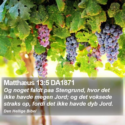 Matthæus 13:5 DA1871 Bible Verse Image