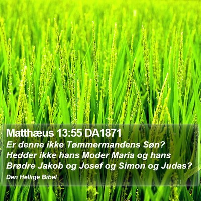 Matthæus 13:55 DA1871 Bible Verse Image