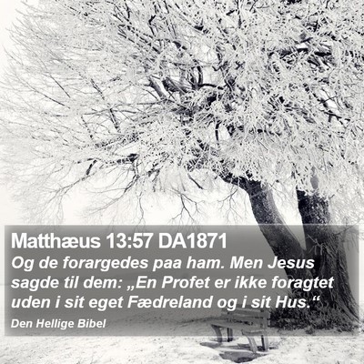Matthæus 13:57 DA1871 Bible Verse Image