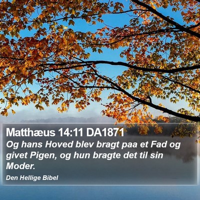 Matthæus 14:11 DA1871 Bible Verse Image