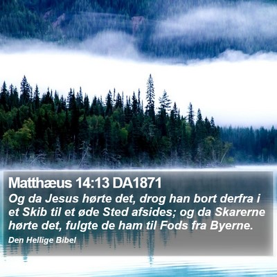 Matthæus 14:13 DA1871 Bible Verse Image
