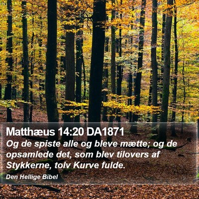 Matthæus 14:20 DA1871 Bible Verse Image