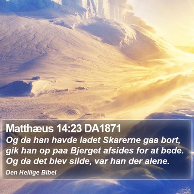 Matthæus 14:23 DA1871 Bible Verse Image