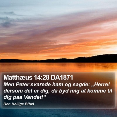 Matthæus 14:28 DA1871 Bible Verse Image