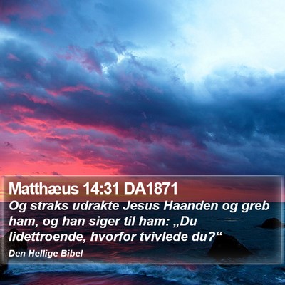 Matthæus 14:31 DA1871 Bible Verse Image