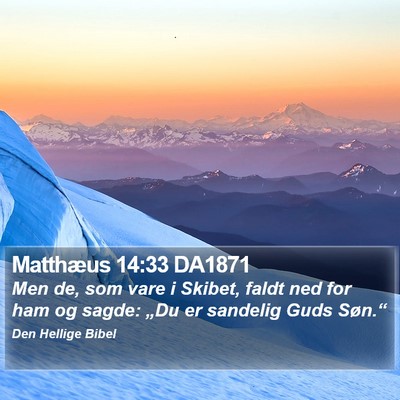 Matthæus 14:33 DA1871 Bible Verse Image