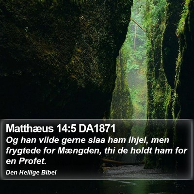 Matthæus 14:5 DA1871 Bible Verse Image
