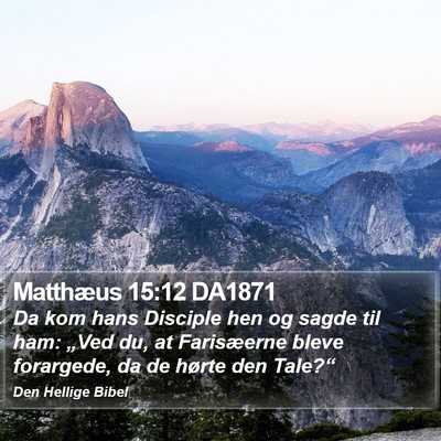 Matthæus 15:12 DA1871 Bible Verse Image