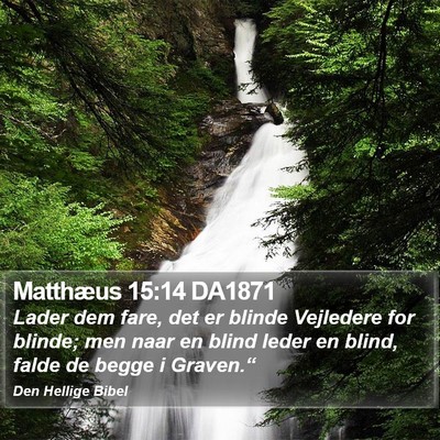 Matthæus 15:14 DA1871 Bible Verse Image