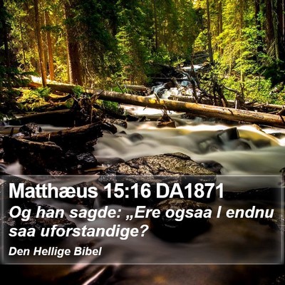 Matthæus 15:16 DA1871 Bible Verse Image